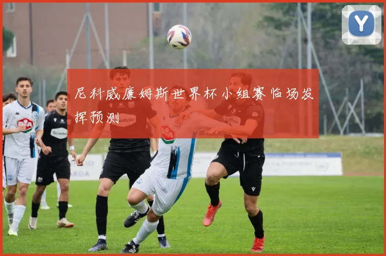 尼科威廉姆斯世界杯小组赛临场发挥预测