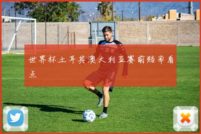 世界杯土耳其澳大利亚赛前赔率看点