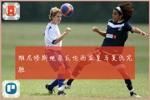维尼修斯绝杀瓦伦西亚皇马复仇完胜 · 用户常问