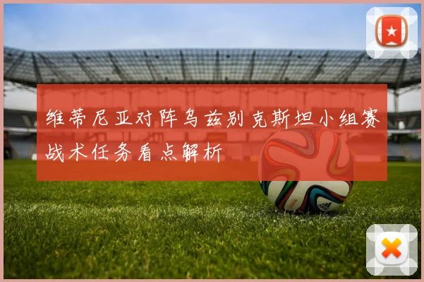 维蒂尼亚对阵乌兹别克斯坦小组赛战术任务看点解析