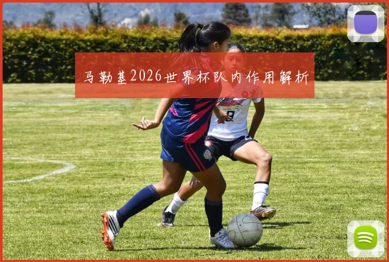 马勒基2026世界杯队内作用解析