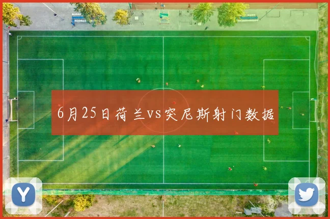 6月25日荷兰vs突尼斯射门数据