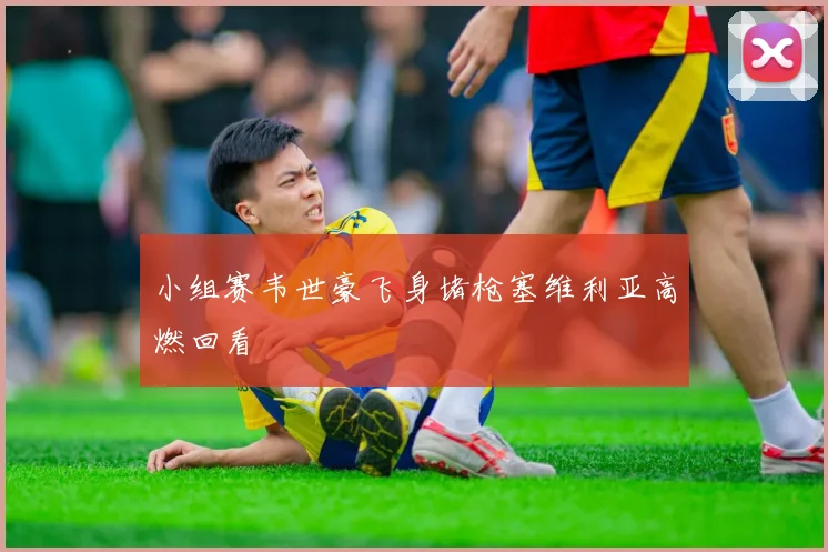 【滚球手机版下载】小组赛韦世豪飞身堵枪塞维利亚高燃回看
