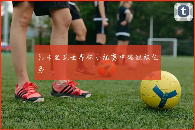 扎卡里亚世界杯小组赛中路组织任务