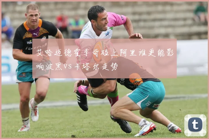 艾哈迈德霍季奇碰上阿里谁更能影响波黑vs卡塔尔走势