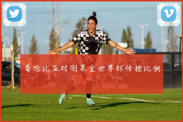 哥伦比亚对刚果金世界杯传控比例