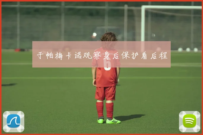 于帕梅卡诺观察身后保护看后程