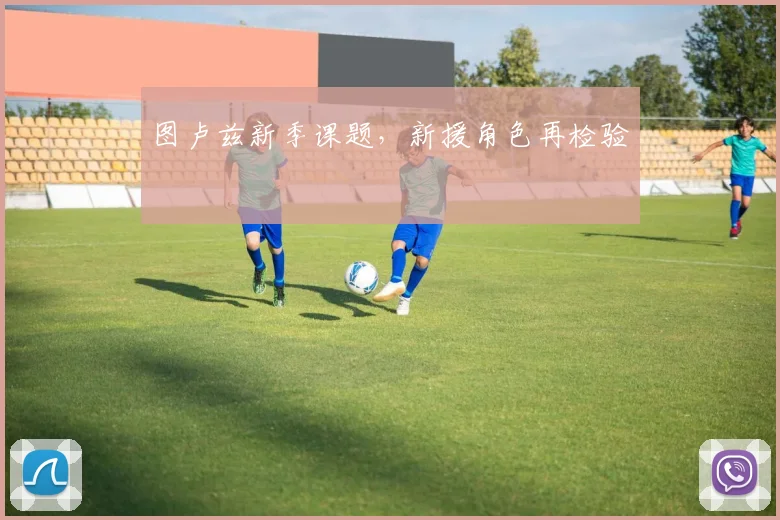 图卢兹新季课题,新援角色再检验