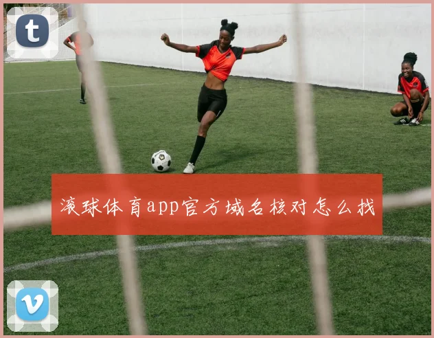 滚球体育app官方域名核对怎么找