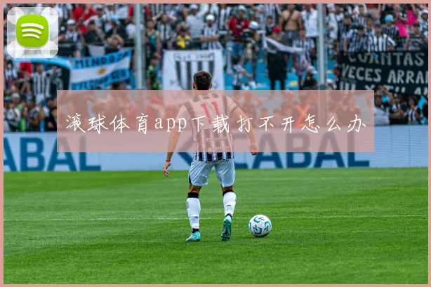 滚球体育app下载打不开怎么办