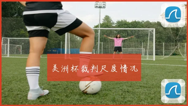 美洲杯裁判尺度情况