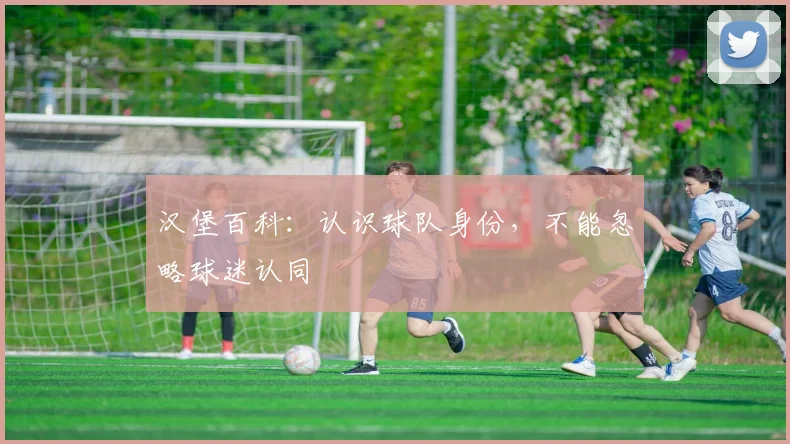 汉堡百科:认识球队身份,不能忽略球迷认同